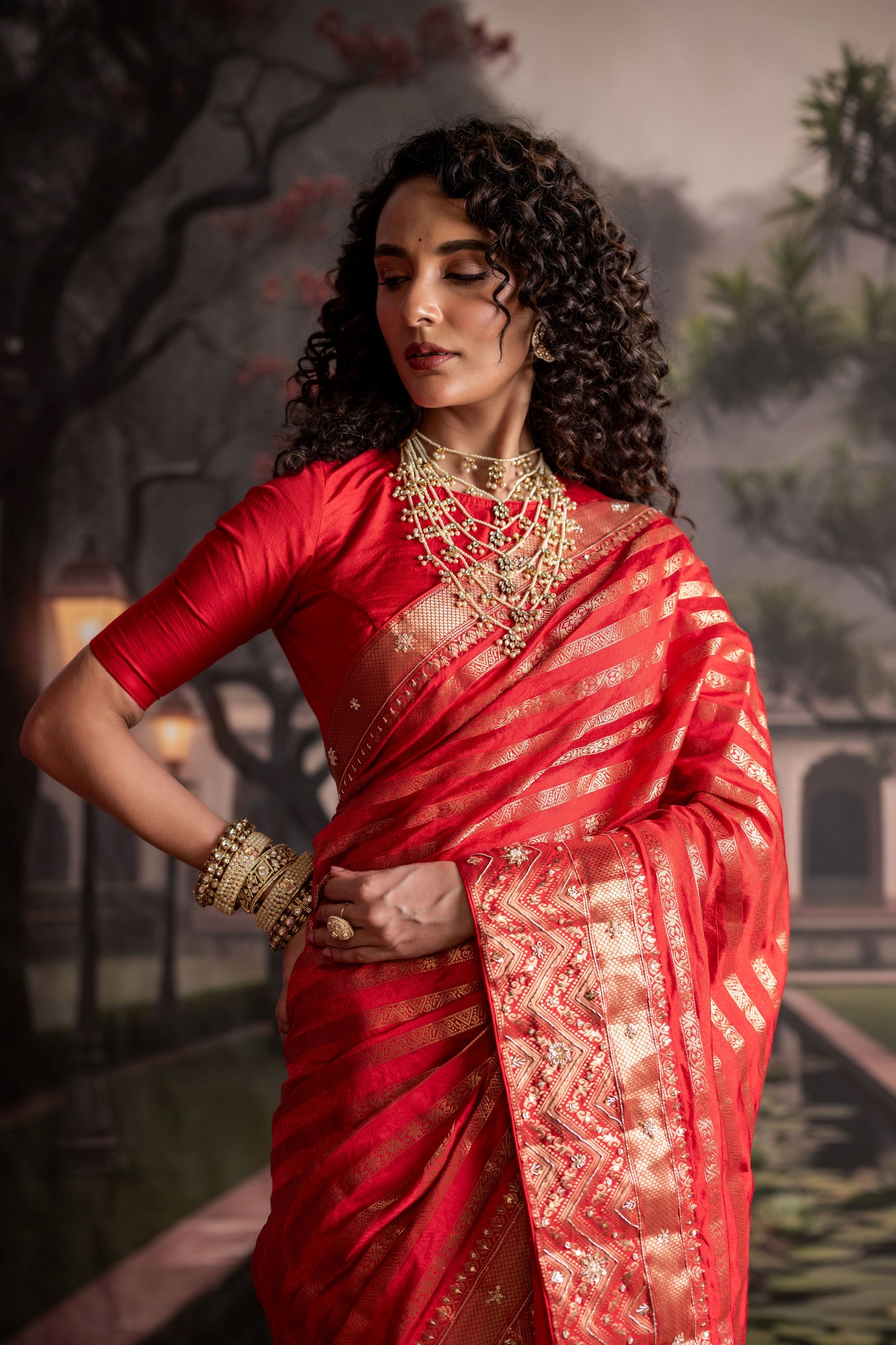 Opulent Red Banarasi Dupion Silk Saree
