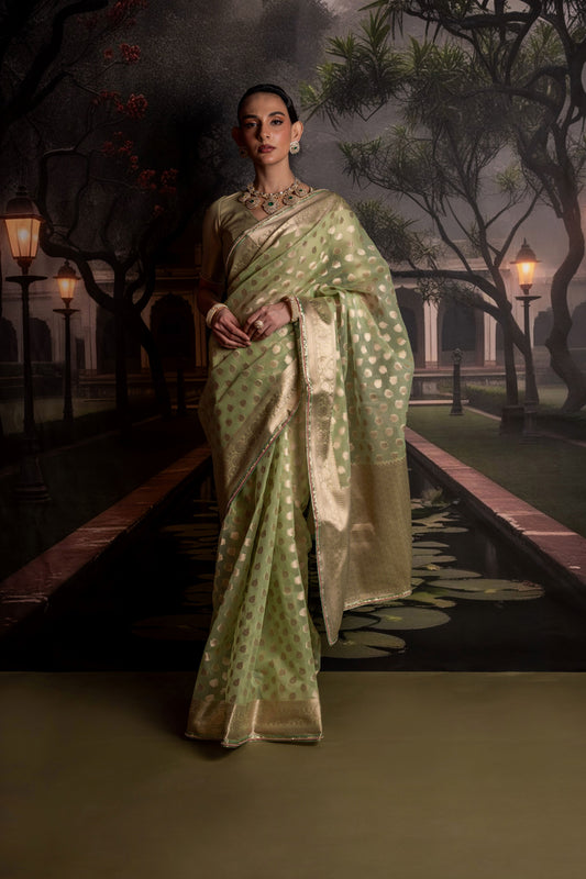 Sage Green Organza Saree with Gold Brocade Blouse